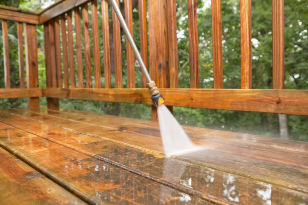 Best Fence Cleaning  in Sun Village, CA